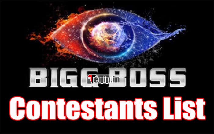 Bigg Boss 16 Contestants List