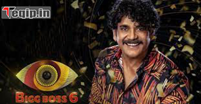 Bigg boss telugu 6 vote