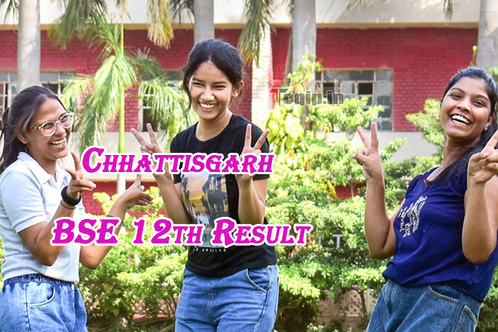 Chhattisgarh BSE 12th Result