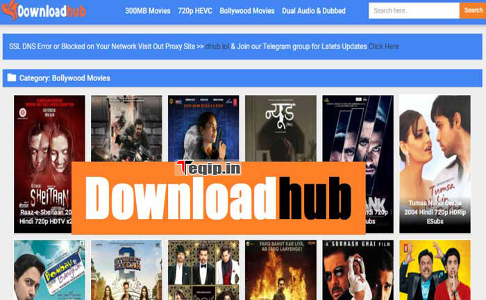 Downloadhub 300MB Hollywood Bollywood Tamil Telugu Kannada Dual Audio  Movies Download