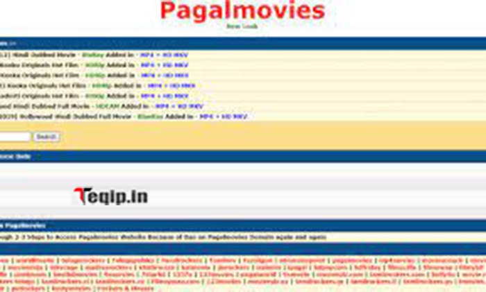 PagalMovies 2023 Bollywood Hollywood English Dubbed South Indian Full Movies  Download