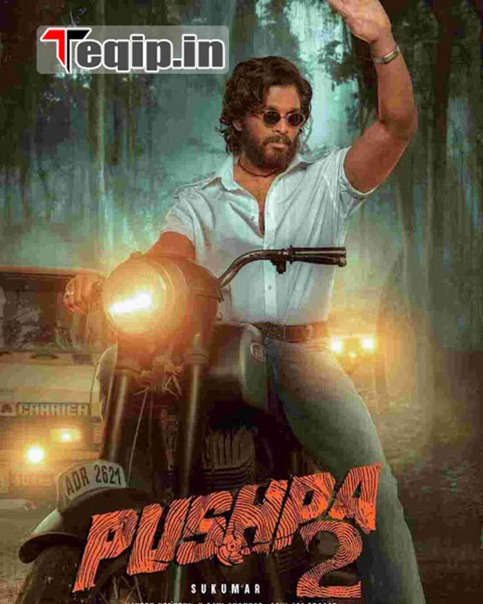 pushpa-2-release-date-star-cast-story-line-trailer-when-will-be