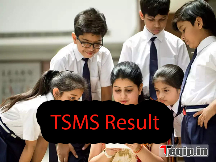 TSMS Result