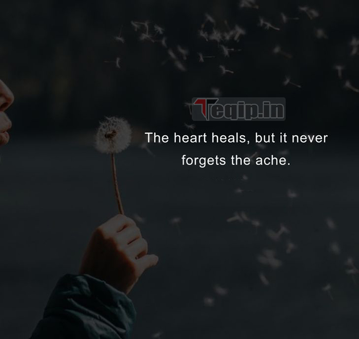 Best-Heart-Touching-Quotes 5