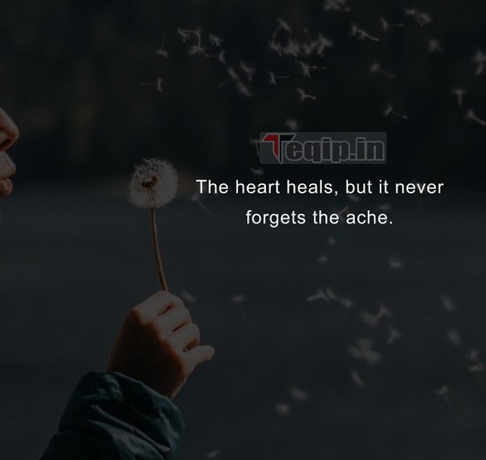 most heart touching quotes ever