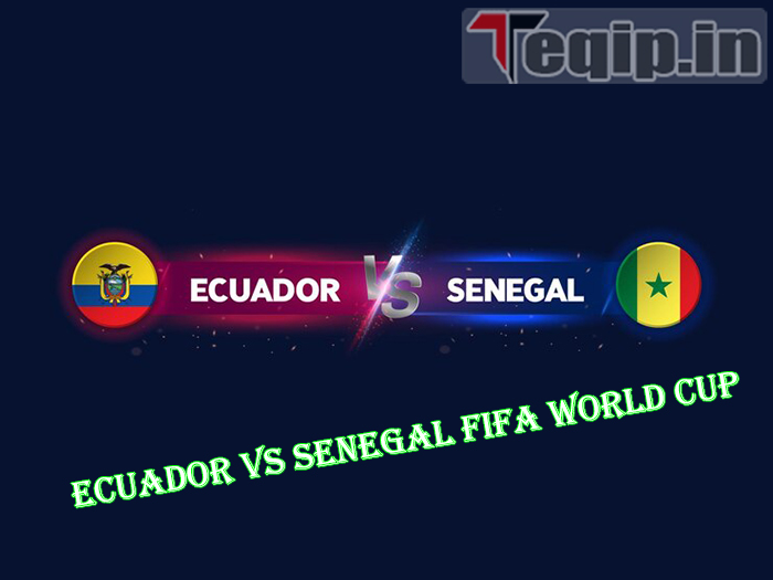 Ecuador vs Senegal FIFA World Cup