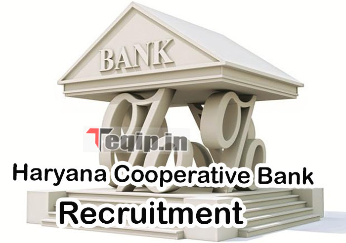Haryana Cooperative Bank Recruitment