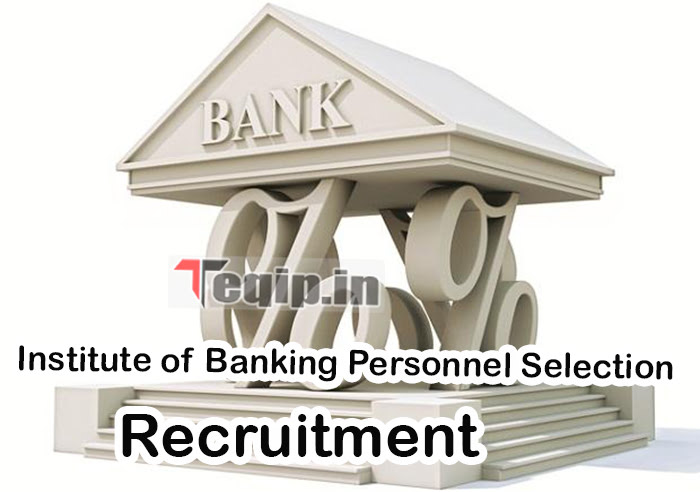 IBPS Recruitment