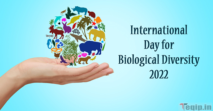 International Bio-diversity day