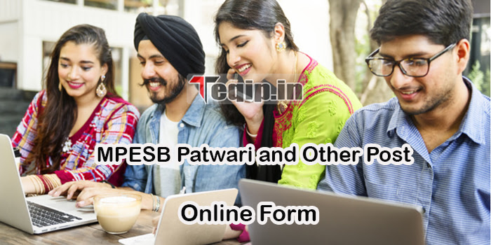 MPESB Patwari and Other Post Online Form