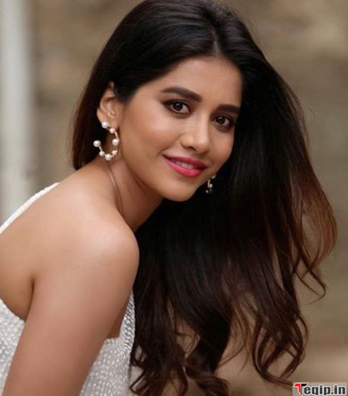 Nabha Natesh Wiki