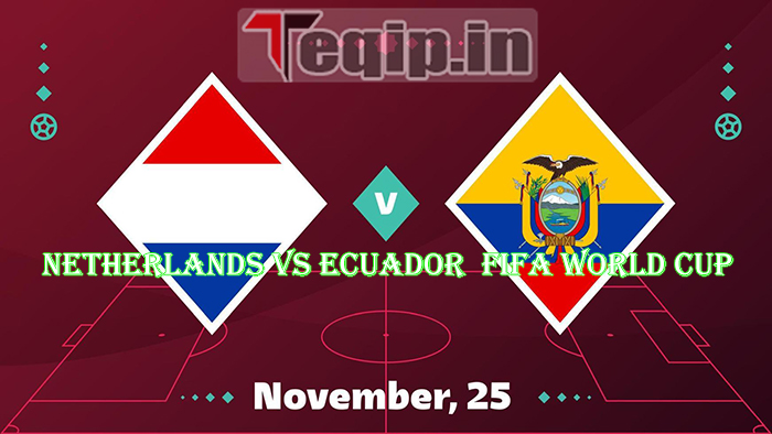 Netherlands vs Ecuador FIFA World Cup 
