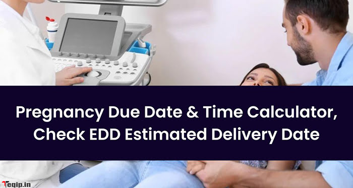 Pregnancy Due Date & Time Calculator, Check EDD Estimated Delivery Date