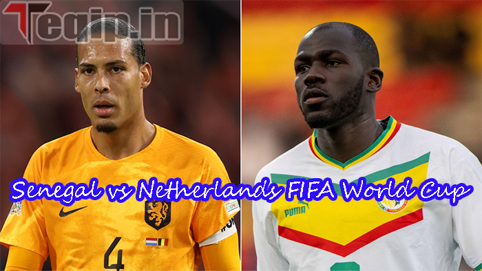 Senegal-vs-Netherlands-FIFA-World-Cup