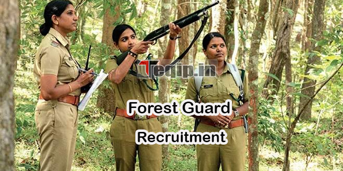 Forest Guard Jobs