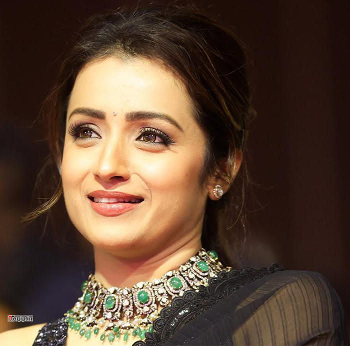 Trisha Krishnan Wiki/ Biography