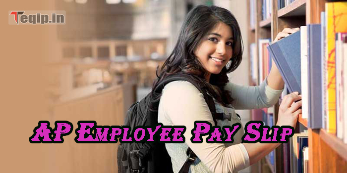 AP Employee Pay Slip