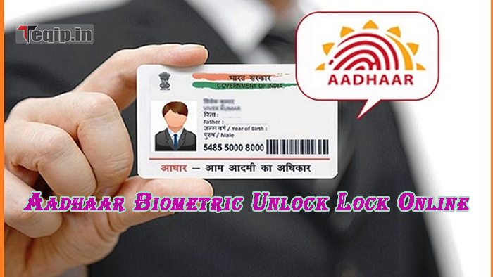 Aadhaar Biometric Unlock Lock Online