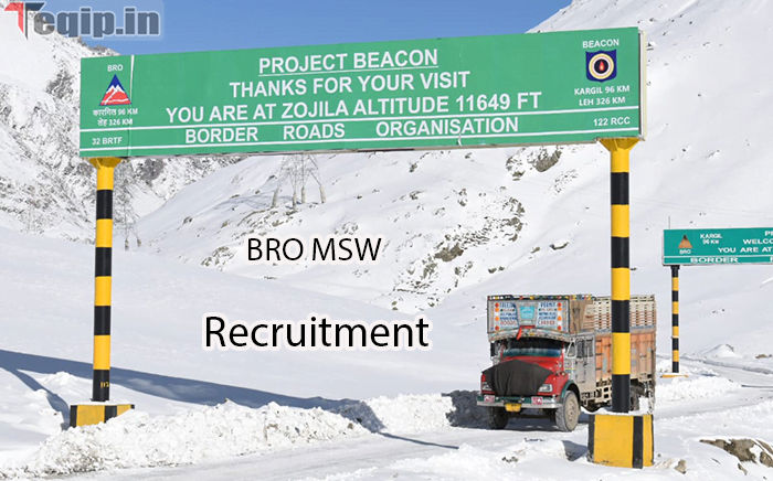 BRO MSW Recruitment