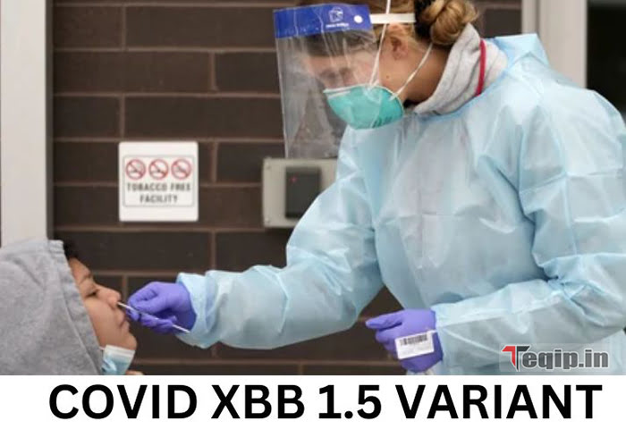 Covid XBB 1.5 Variant