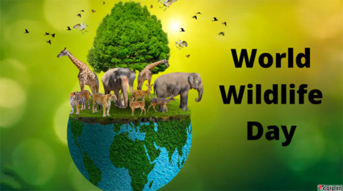 3rd March - World Wildlife Day