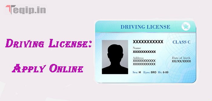 Driving License: Apply Online