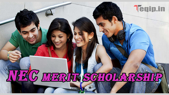 NEC merit scholarship