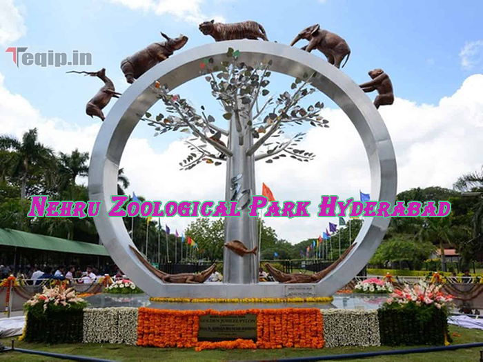 nehru zoological park safari fee