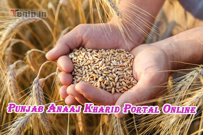 Punjab Anaaj Kharid Portal Online
