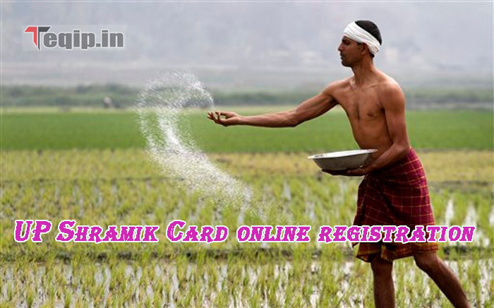 UP Shramik Card online registration