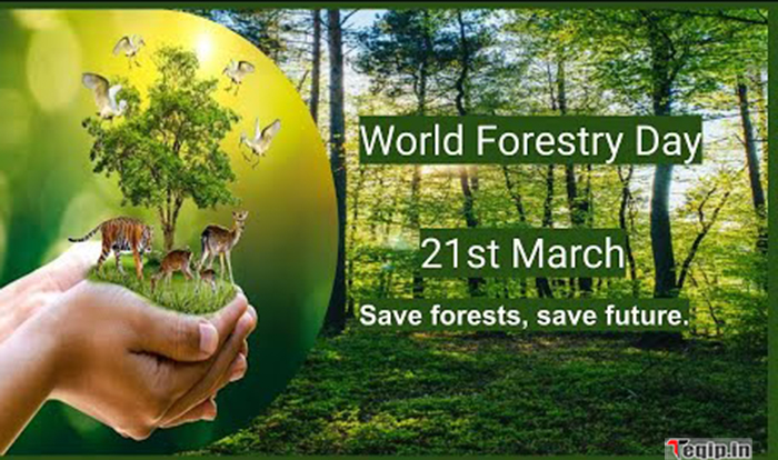 21 March - World Forestry Day