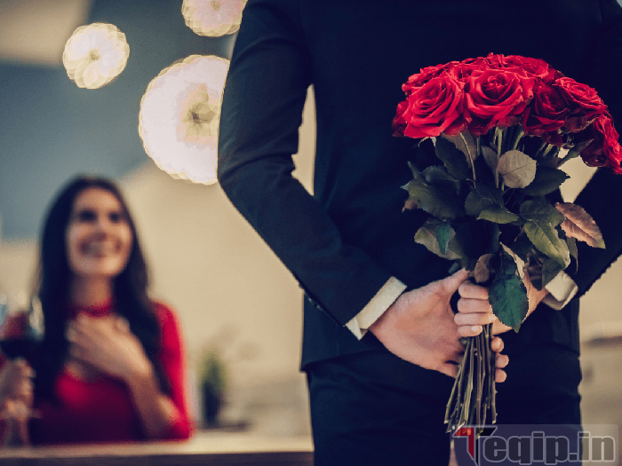 Propose with Red Rose
