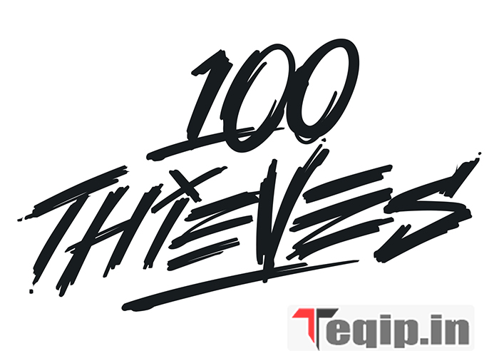 100 Thieves