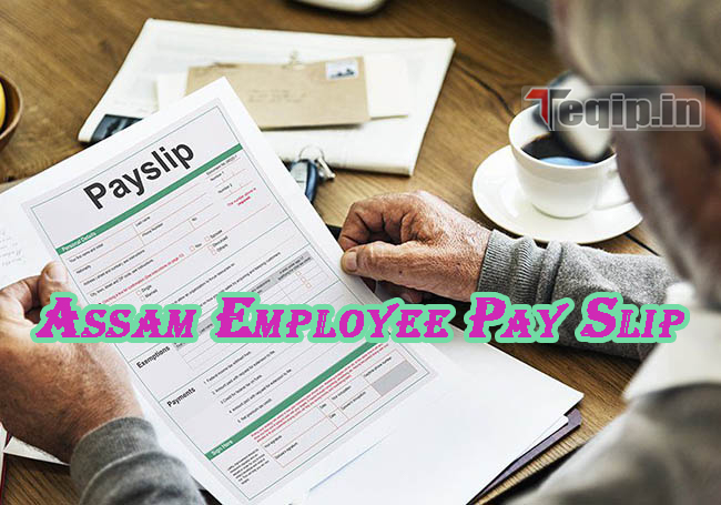 Assam Employee Pay Slip