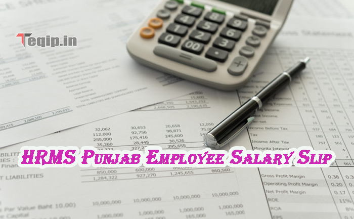 HRMS Punjab Employee Salary Slip