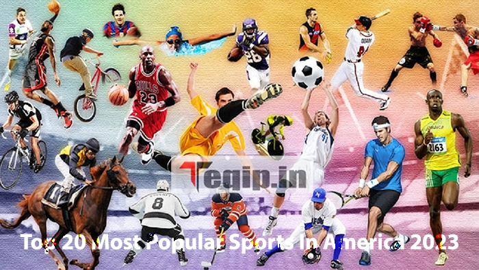 Top 20 Most Popular Sports In America 2023
