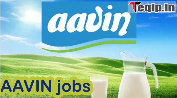 AAVIN jobs 2023