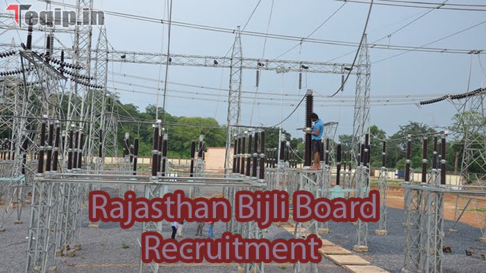 Rajasthan Bijli Board Recruitment 2024