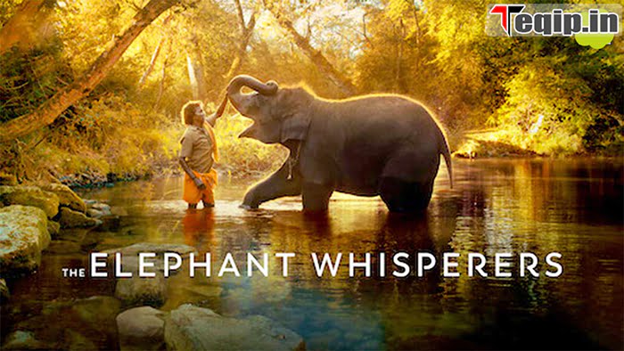 The Elephant Whisperers Documentry Short Film