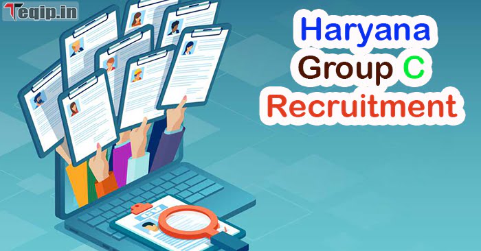 Haryana Group C Recruitment 2024
