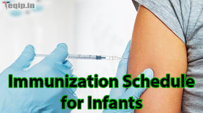 Immunization Schedule for Infants