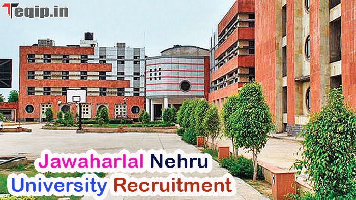  Jawaharlal Nehru University Recruitment 2024