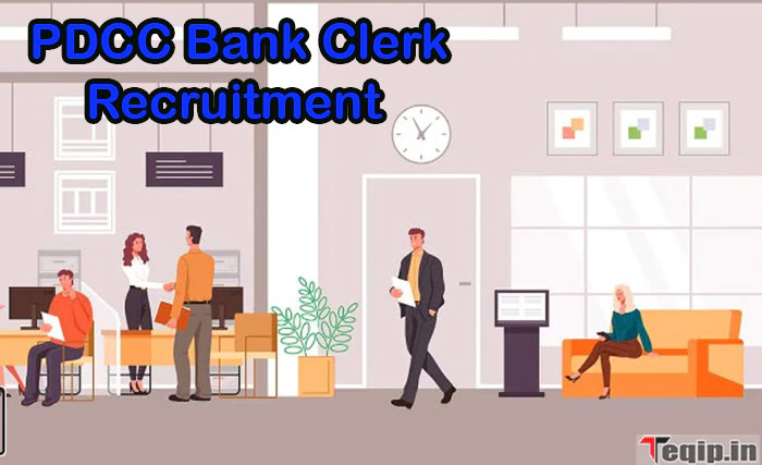 PDCC Bank Clerk Recruitment 2024