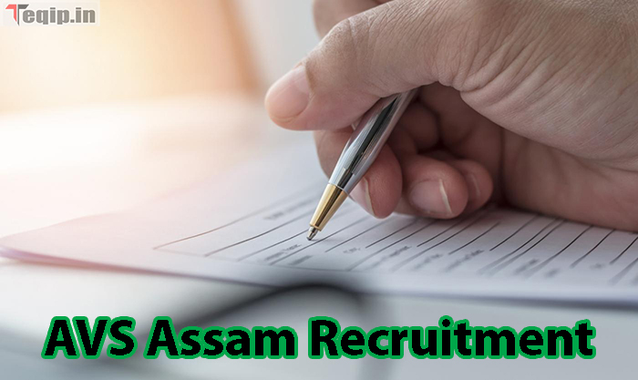 AVS Assam Recruitment