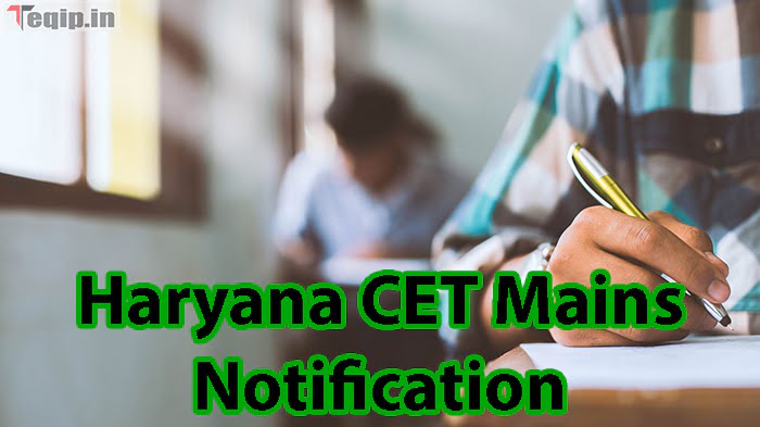 Haryana CET Mains Notification