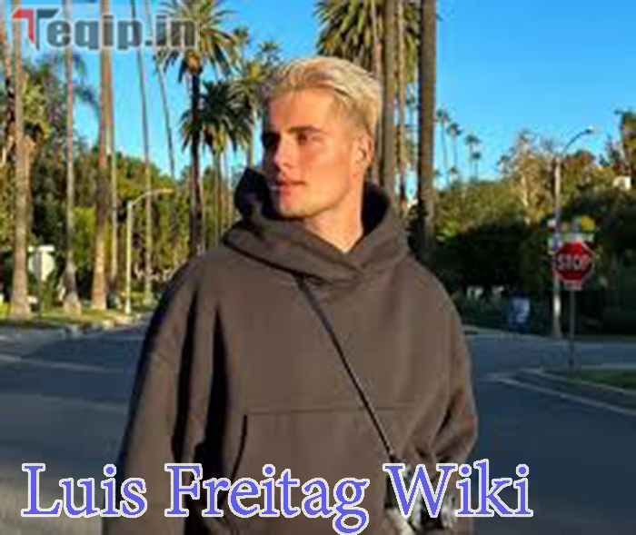 Luis Freitag Wiki