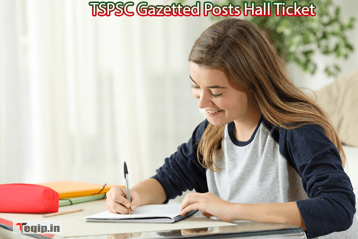 TSPSC Gazetted Posts Hall Ticket
