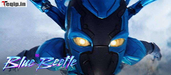 Blue Beetle Box Office Collection