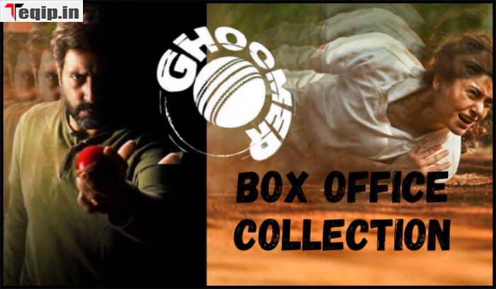 Ghoomar Box Office Collection