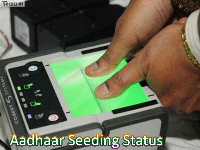 Aadhaar Seeding Status